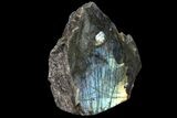 Wide, Single Side Polished Labradorite - Madagascar #81392-2